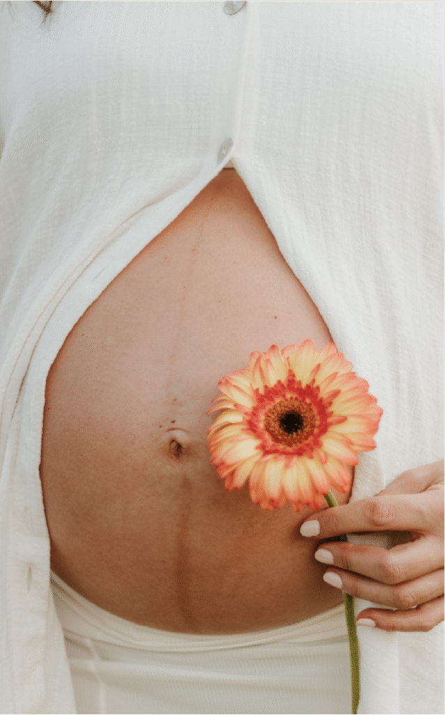 Barriga de uma mulher grávida com uma flor nas mãos, simbolizando a beleza da gestação.