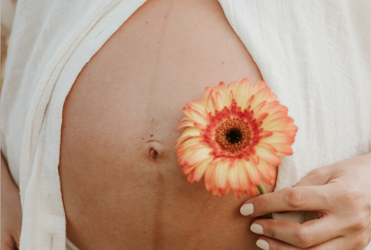 Barriga de uma mulher grávida com uma flor nas mãos, simbolizando a beleza da gestação.